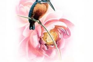 birds-painting-lotus